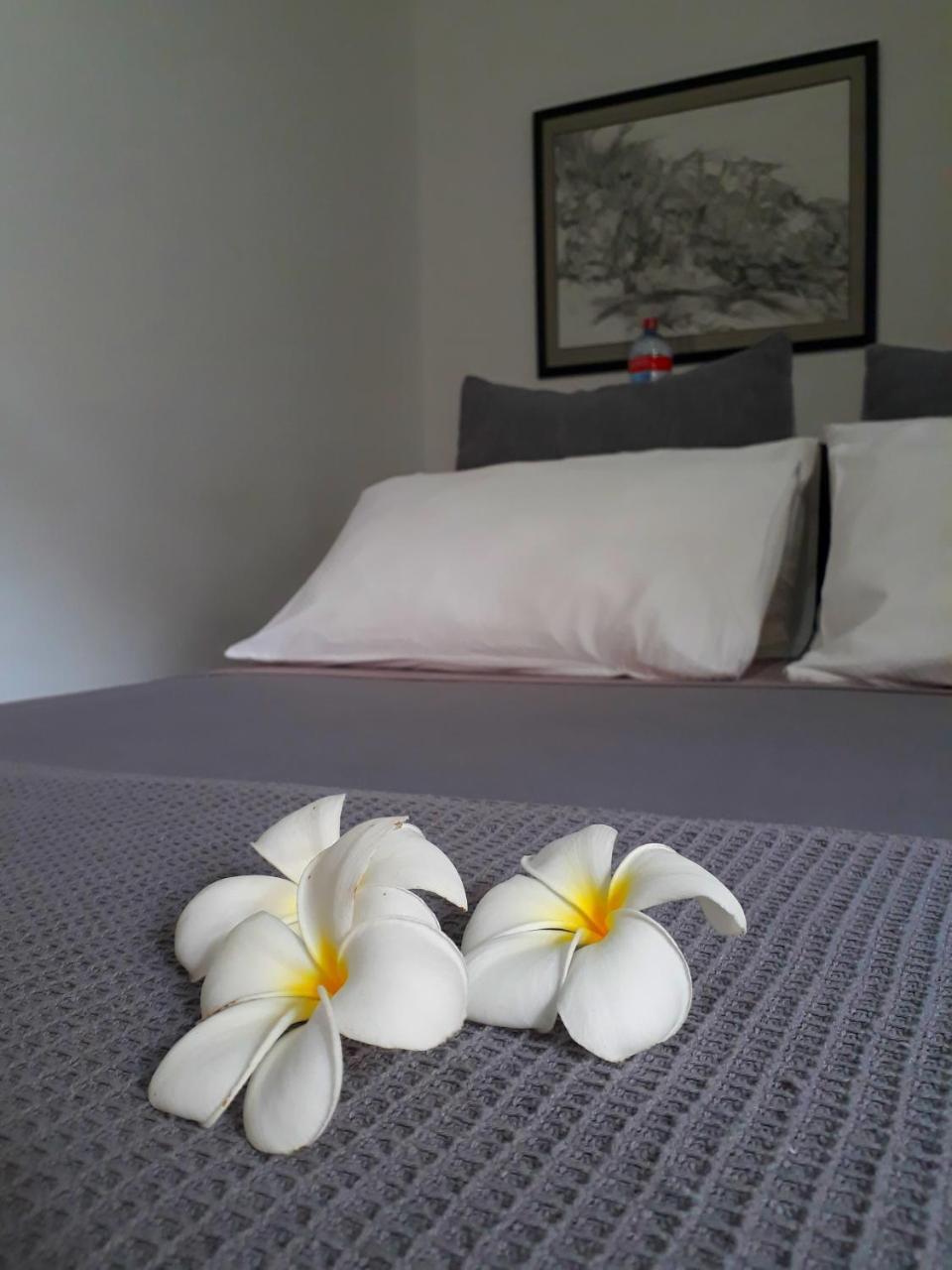 "27" Spathodea- Oasis In The City Colombo Eksteriør bilde