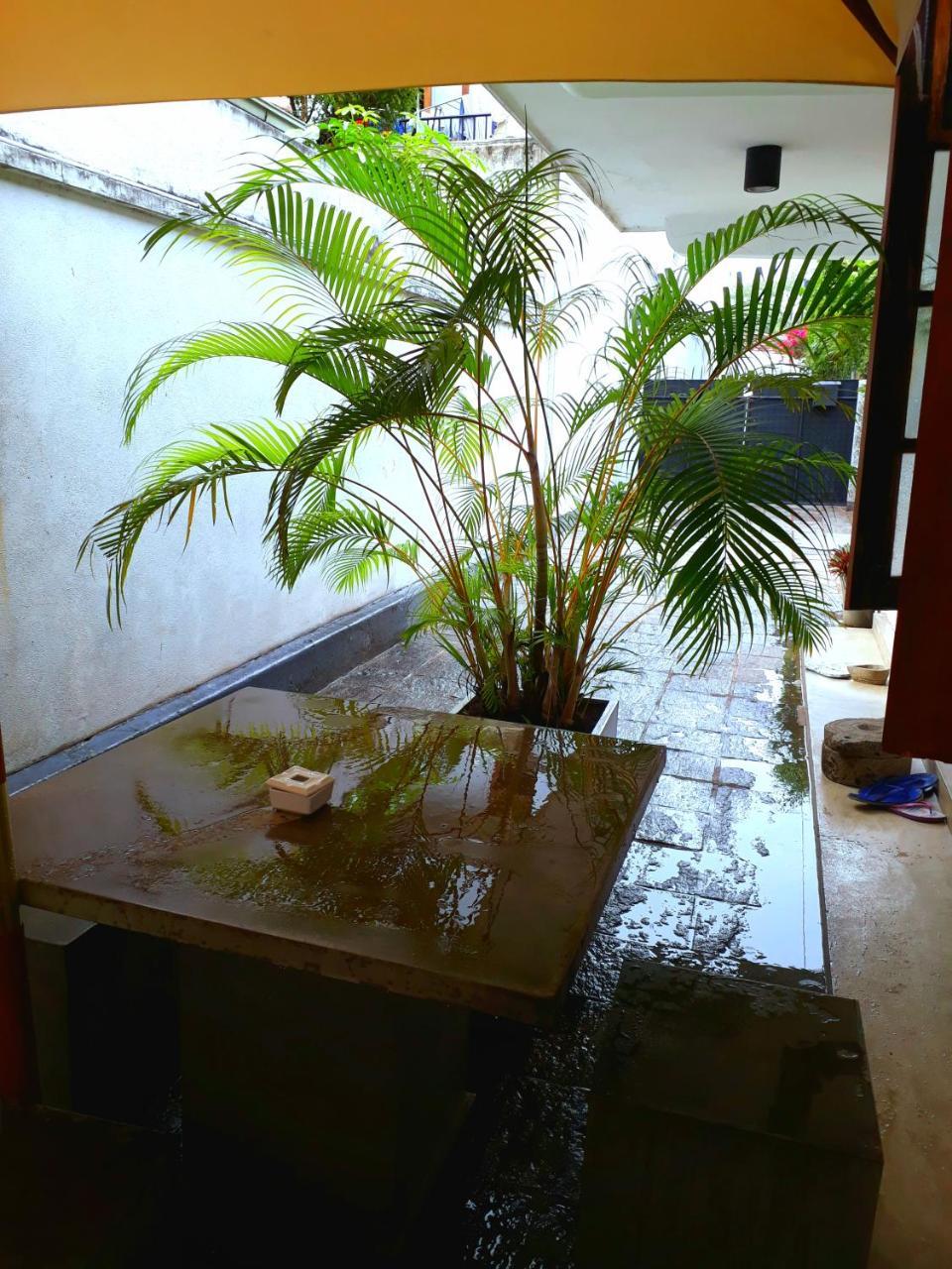 "27" Spathodea- Oasis In The City Colombo Eksteriør bilde